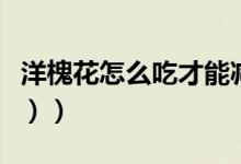 洋槐花怎么吃才能减肥（洋槐花怎么吃（图文））
