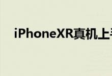  iPhoneXR真机上手多彩配色新旗舰降临 