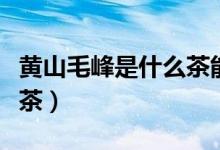黄山毛峰是什么茶能减肥吗（黄山毛峰是什么茶）