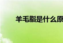 羊毛脂是什么原料（羊毛脂是什么）