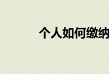 个人如何缴纳社保 有几个档次 