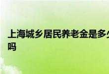 上海城乡居民养老金是多少 缴费中断会影响之前的缴费记录吗 