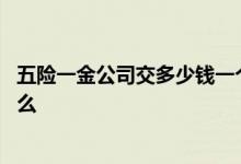 五险一金公司交多少钱一个月 五险一金公司交收费标准是什么 
