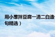 用小葱拌豆腐一清二白造一句话（用小葱拌豆腐一清二白造句精选）