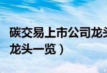 碳交易上市公司龙头有哪些（碳交易上市公司龙头一览）