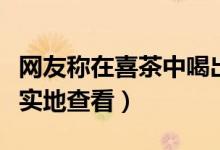 网友称在喜茶中喝出指套（静安市场监管局将实地查看）