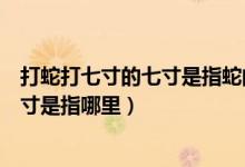 打蛇打七寸的七寸是指蛇的什么器官（“打蛇打七寸”的七寸是指哪里）