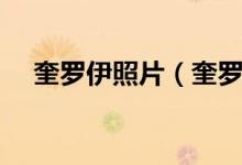 奎罗伊照片（奎罗伊出生于哪个地方呢）