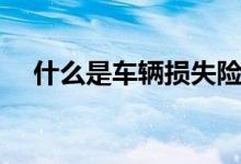 什么是车辆损失险（什么是车辆损失险）