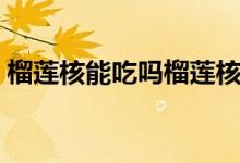 榴莲核能吃吗榴莲核怎么吃（榴莲核能吃吗）