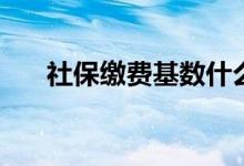 社保缴费基数什么时候申报 如何申报 
