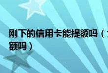 刚下的信用卡能提额吗（大连银行信用卡刚下卡可以申请提额吗）