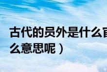 古代的员外是什么官员（古代的“员外”是什么意思呢）