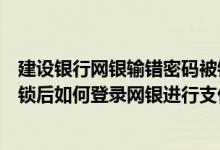 建设银行网银输错密码被锁定（当建行网银登录密码输错被锁后如何登录网银进行支付）