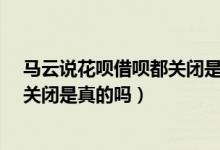 马云说花呗借呗都关闭是真的吗?（马云宣布花呗借呗全面关闭是真的吗）