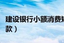建设银行小额消费短信提醒（建设银行小额贷款）