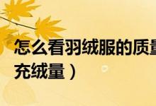 怎么看羽绒服的质量好不好（怎么看羽绒服的充绒量）