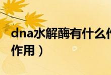 dna水解酶有什么作用（DNA水解酶有?什么作用）