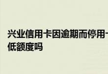 兴业信用卡因逾期而停用卡片 请问兴业信用卡停用可以还最低额度吗