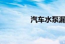  汽车水泵漏水怎么处理啊? 