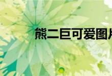 熊二巨可爱图片（小额借款app）