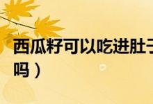 西瓜籽可以吃进肚子吗（西瓜籽可以吃进肚子吗）