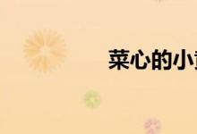  菜心的小黄花可以吃吗 