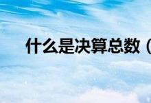 什么是决算总数（什么是决算审计呢?）