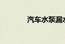  汽车水泵漏水的原因有哪些? 