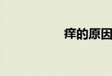 痒的原因（痒的歌词）