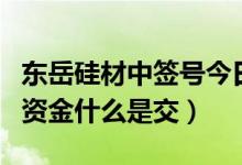 东岳硅材中签号今日公布（东岳硅材中签认购资金什么是交）