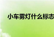 小车雾灯什么标志（小车雾灯什么标志）