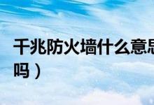 千兆防火墙什么意思（千兆万兆防火墙的意思吗）