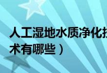 人工湿地水质净化技术指南（湿地水质净化技术有哪些）