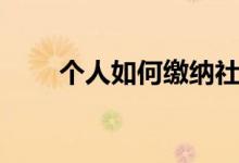 个人如何缴纳社保 手机上怎么缴费 