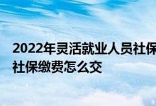 2022年灵活就业人员社保缴费多少钱 2022年灵活就业人员社保缴费怎么交 