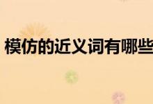 模仿的近义词有哪些（模仿的近义词是什么）