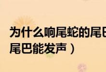 为什么响尾蛇的尾巴会发响（为什么响尾蛇的尾巴能发声）