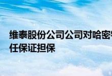 维泰股份公司公司对哈密物流园的项目贷款提供追加连带责任保证担保