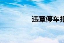  违章停车扣几分罚多少钱 
