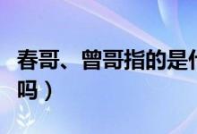 春哥、曾哥指的是什么人（是李宇春和曾轶可吗）