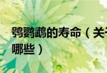 鸮鹦鹉的寿命（关于鸮鹦鹉的9个有趣事实是哪些）