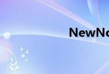 NewNo（Doubt）