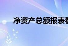 净资产总额报表看哪里（净资产总额）