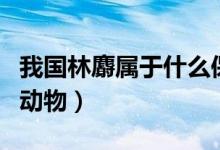 我国林麝属于什么保护级别（林麝是几级保护动物）
