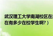 武汉理工大学南湖校区在武昌吗（武汉理工大学南湖校区现在有多少在校学生啊?）