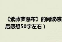 《紫藤萝瀑布》的阅读感想（初一第四课《紫藤萝瀑布》读后感想50字左右）