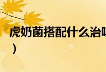 虎奶菌搭配什么治咳嗽（虎奶菌止咳食用方法）