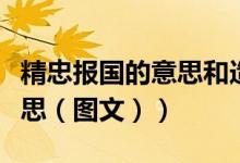 精忠报国的意思和造句怎么写（精忠报国的意思（图文））