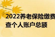 2022养老保险缴费基数是多少 养老保险怎么查个人账户总额 